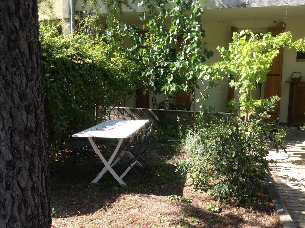 Maison Du Parc Ξενοδοχείο Αβινιόν Εξωτερικό φωτογραφία